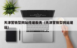 定州天津营销型网站搭建服务（天津营销型网站建设）